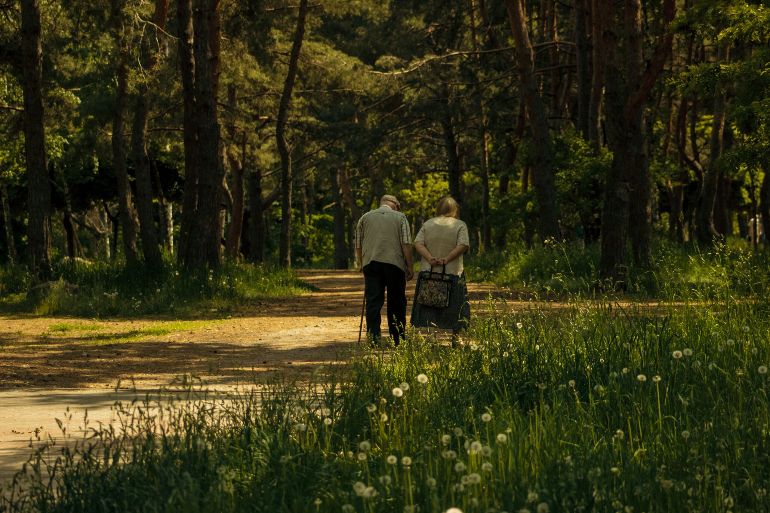 Elderly couple walking along a forest path